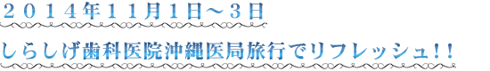 ２０１４年１１月１日～３日 しらしげ歯科医院沖縄医局旅行