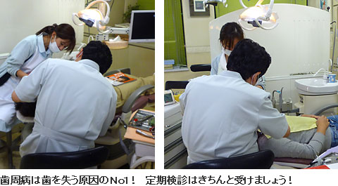 歯周治療システム−歯周病は歯を失う原因のNo1！定期検診はきちんと受けましょう！