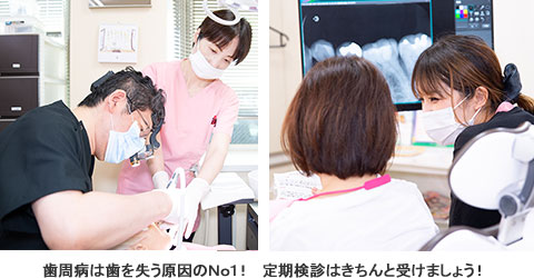 歯周治療システム−歯周病は歯を失う原因のNo1！定期検診はきちんと受けましょう！
