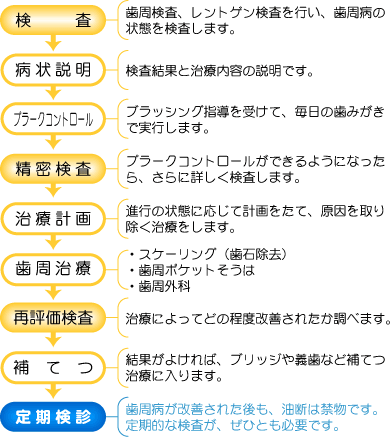 歯周治療のシステム